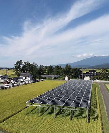 Solar System Farm